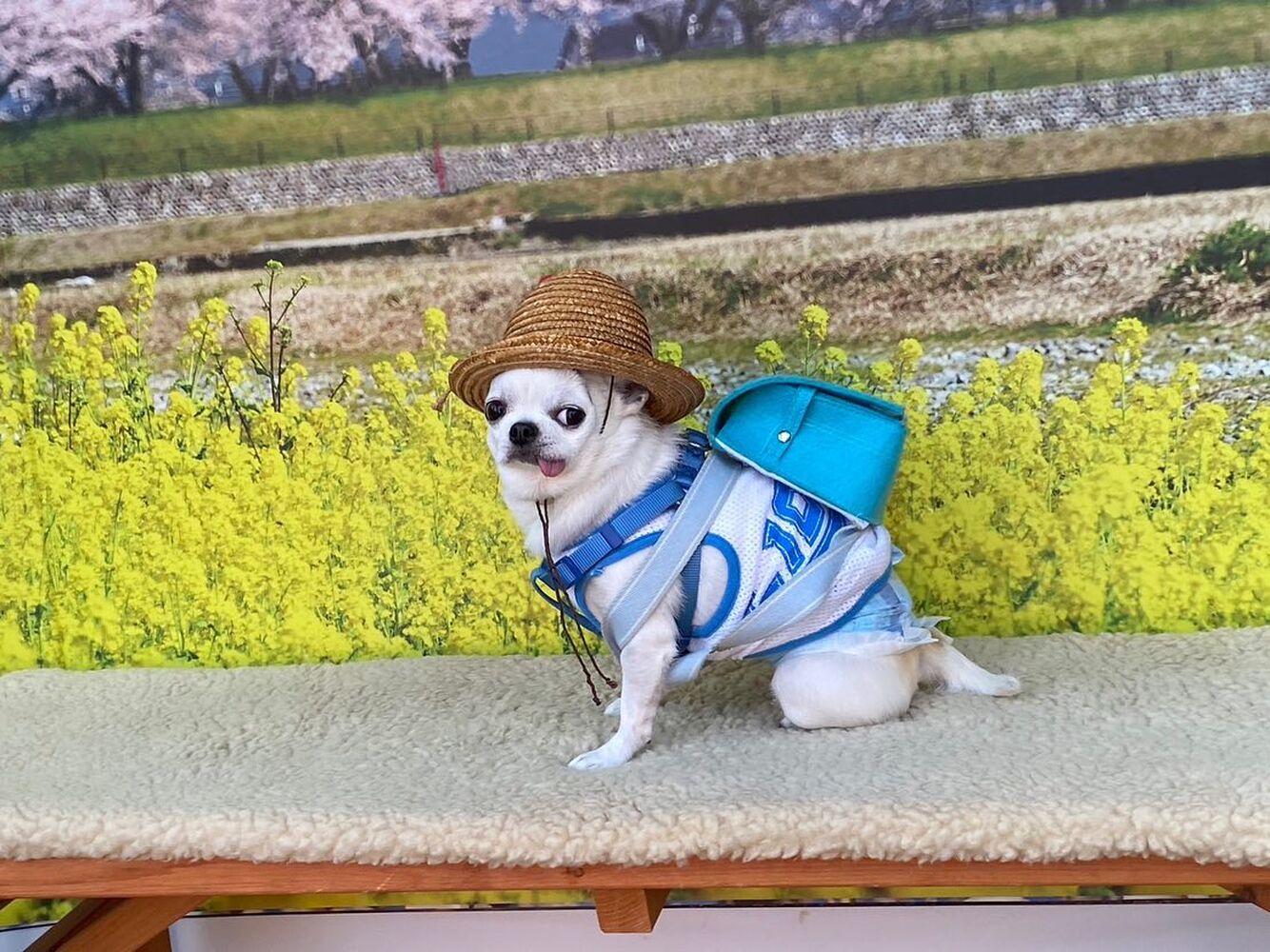 画像9606