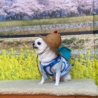 画像9607