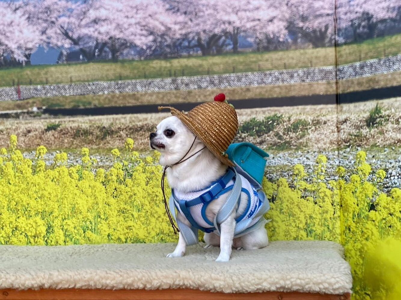 画像9607
