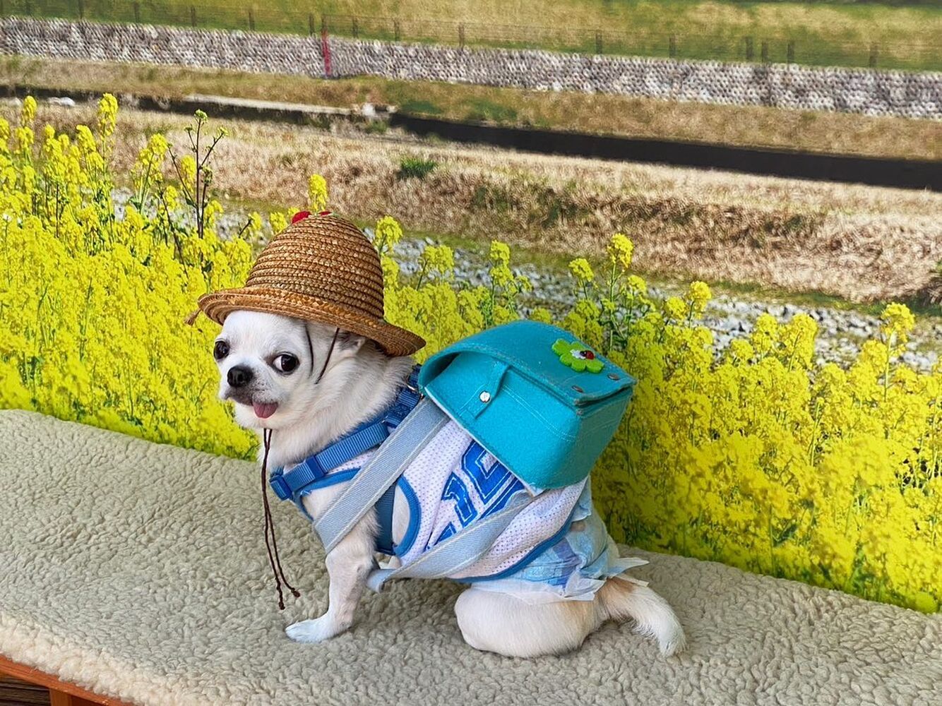 画像9608