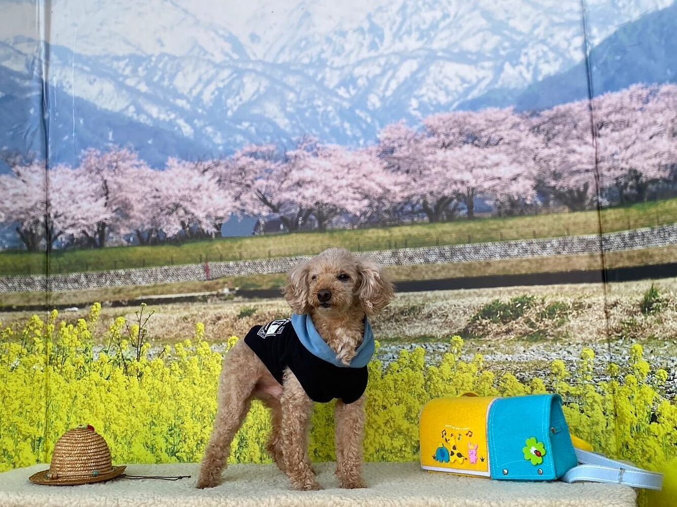 画像9625