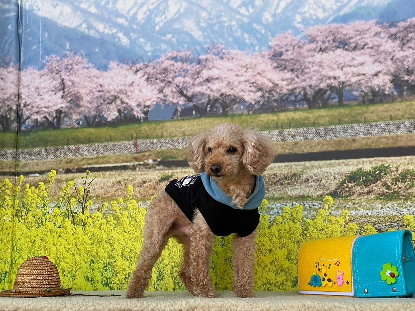 画像9626