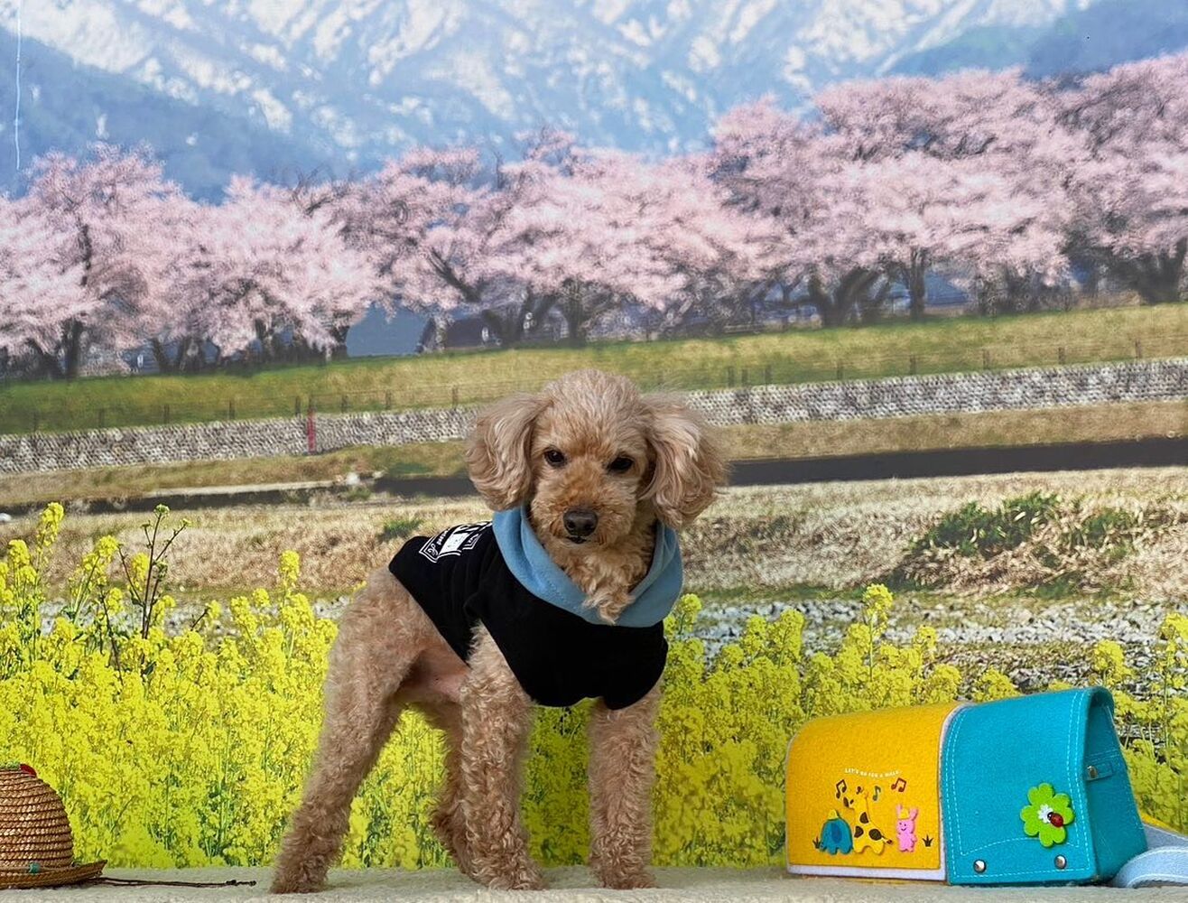 画像9627
