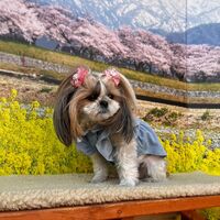 画像9647