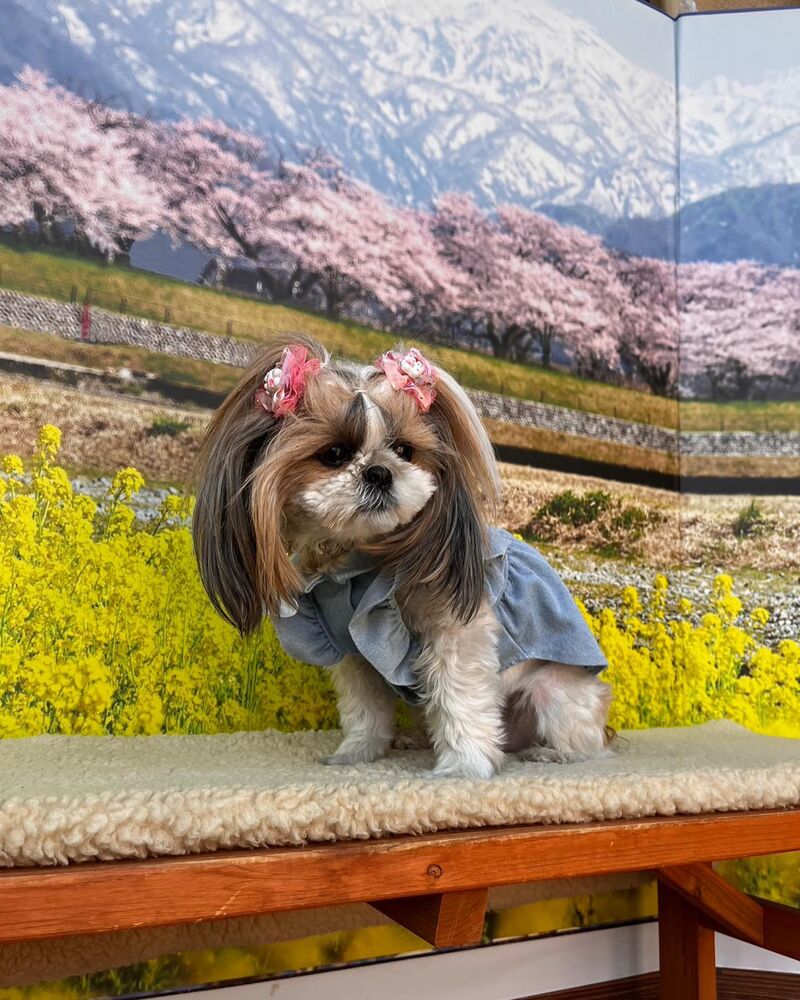 画像9647