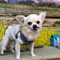 画像9660