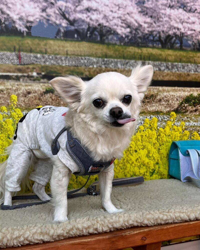 画像9660