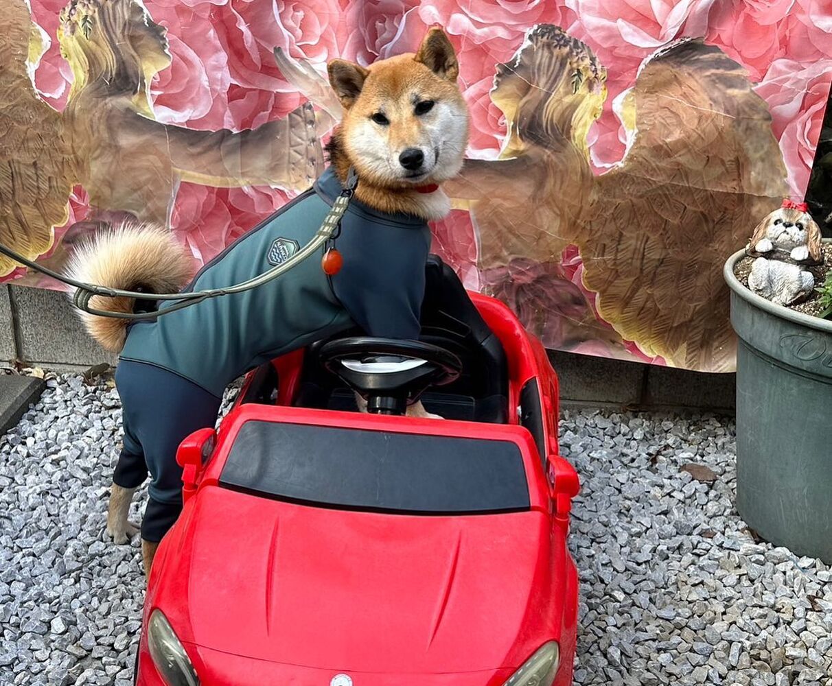 画像9678