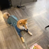 画像9681