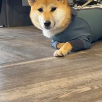 画像9682
