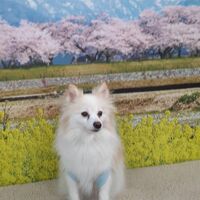 画像9686