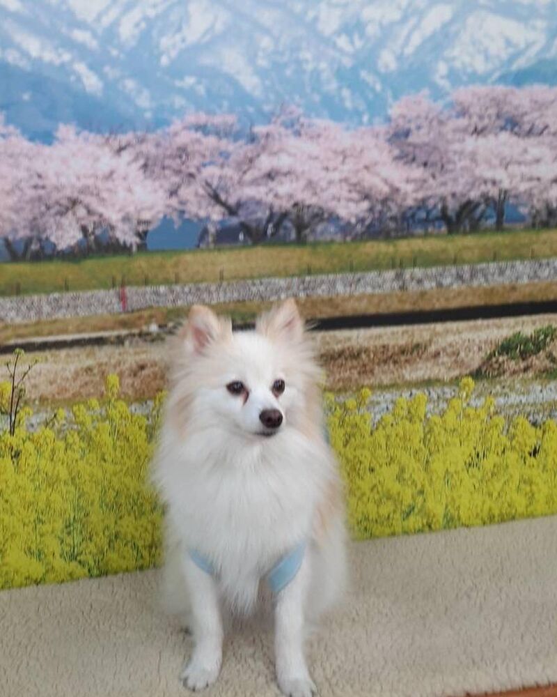 画像9686