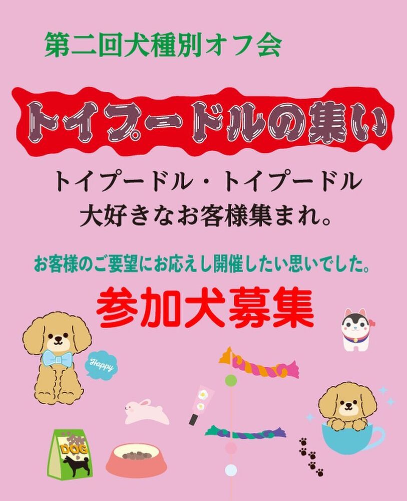 画像9708