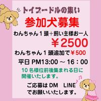画像9710