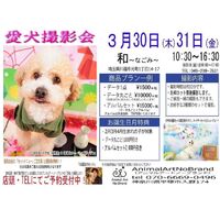 画像9712