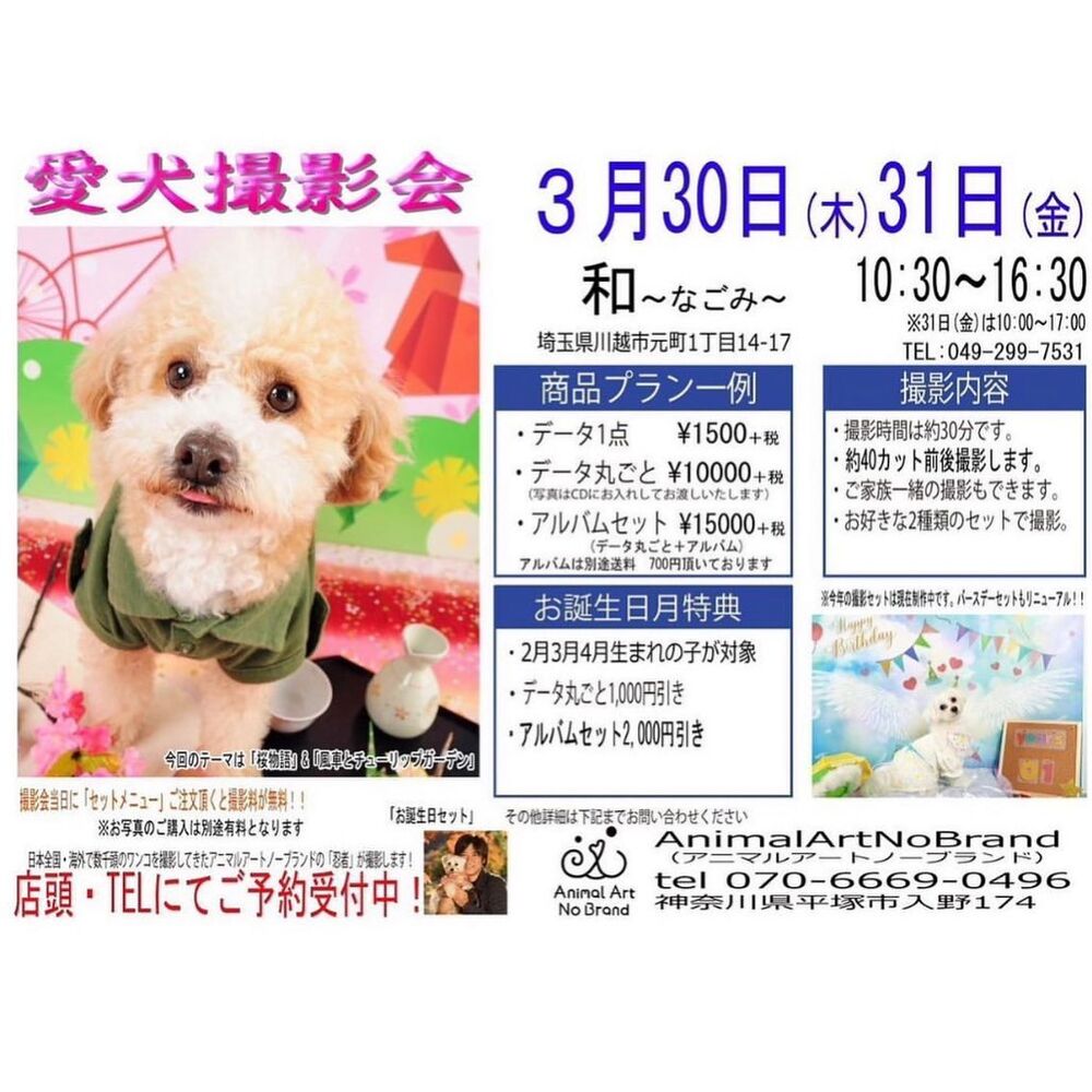 画像9712