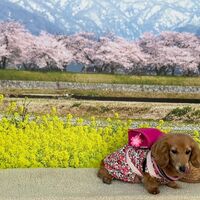 画像9722