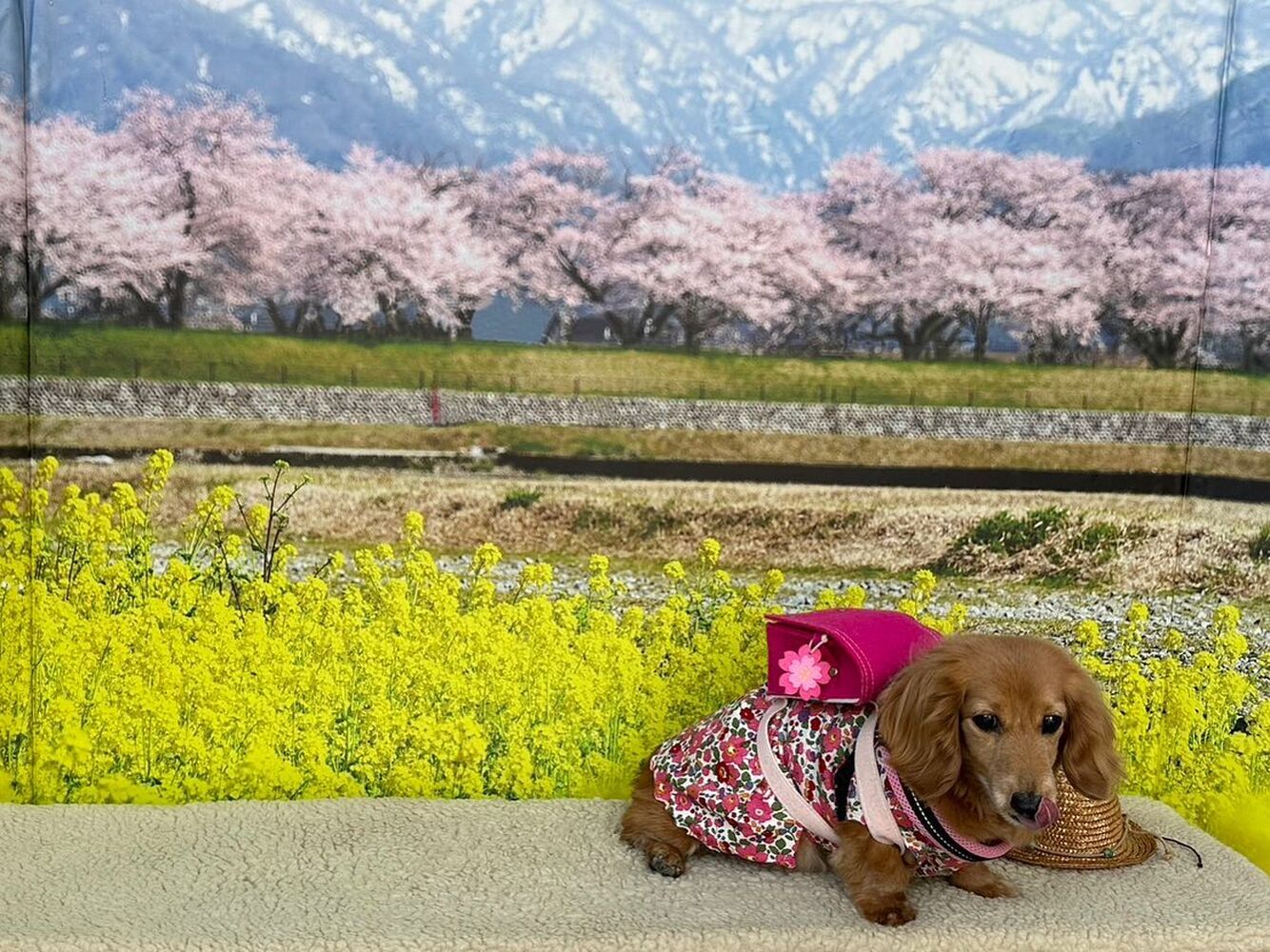 画像9722