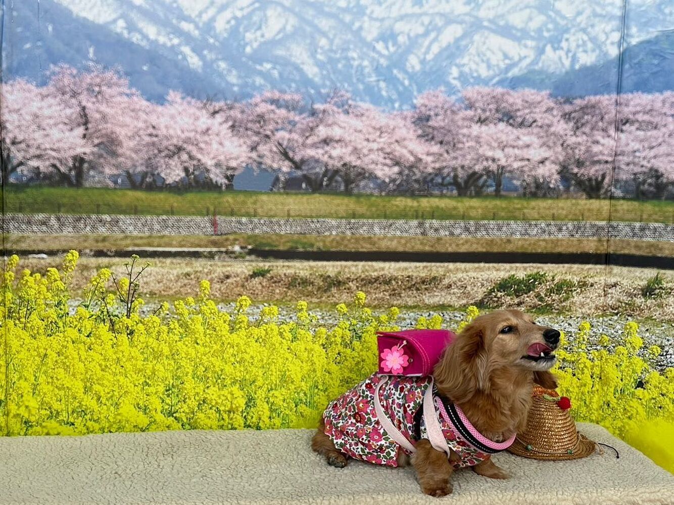 画像9723