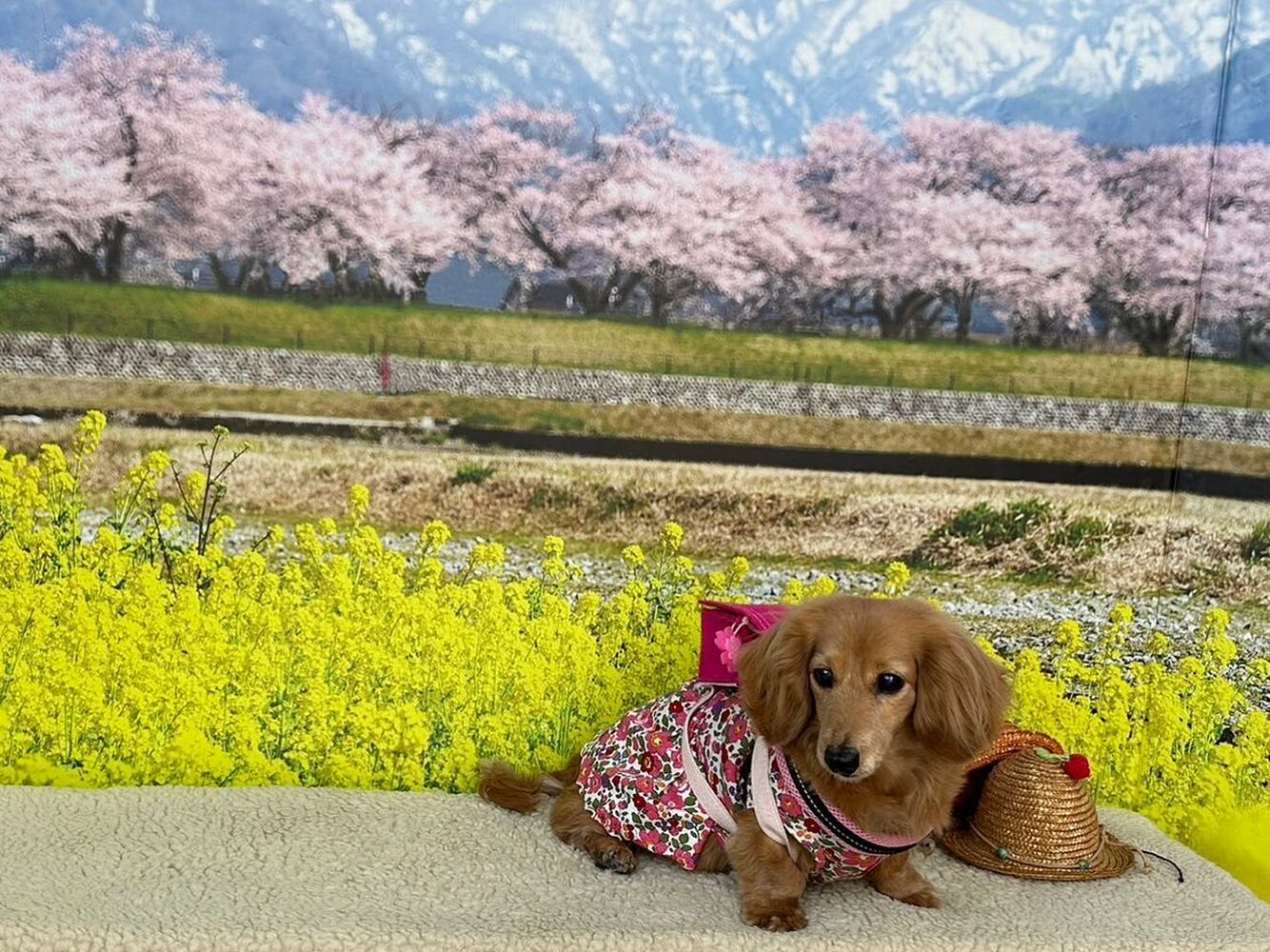 画像9724
