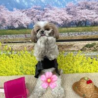 画像9741