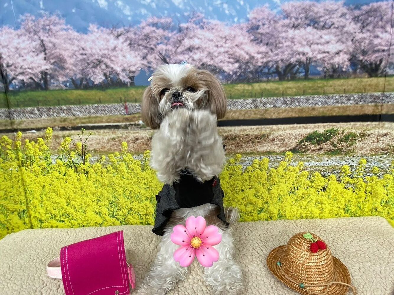 画像9741