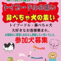 画像9752