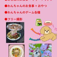 画像9756