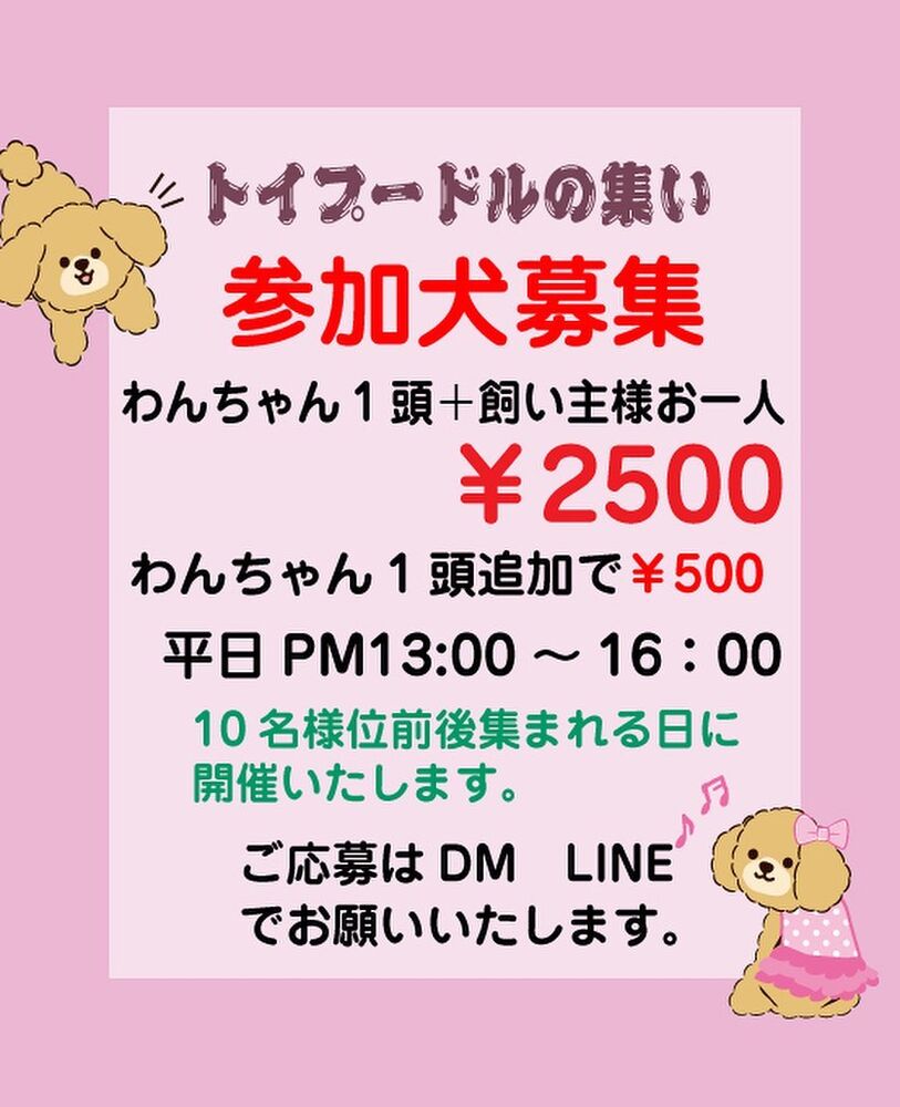 画像9757
