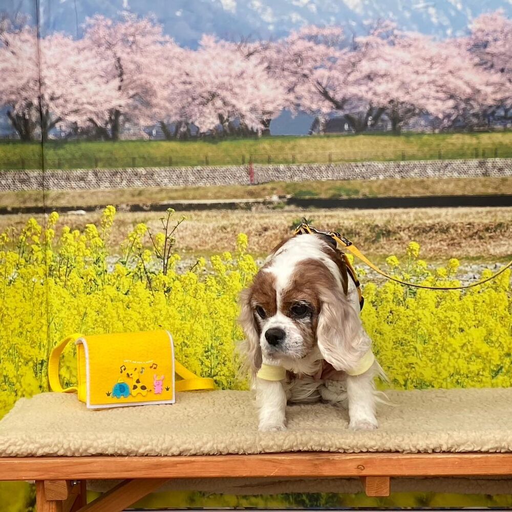 画像9762