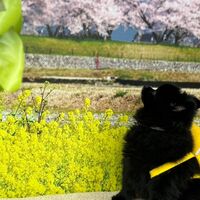 画像9777