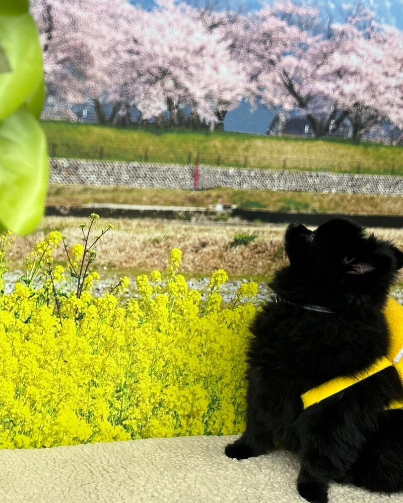 画像9777