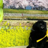画像9778