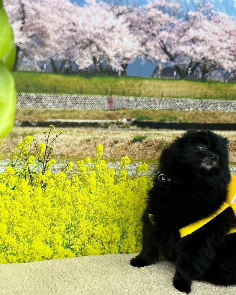 画像9778