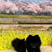 画像9779