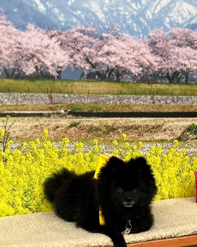画像9779