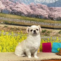 画像9787