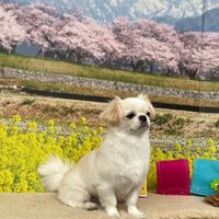 画像9788