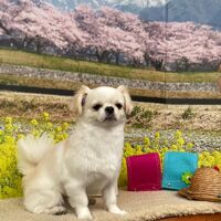 画像9790