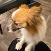 画像9819