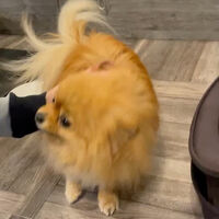 画像9832