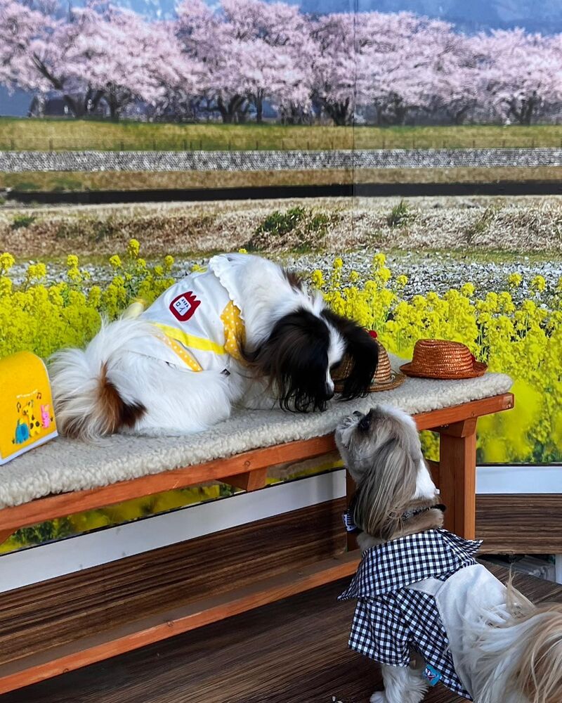 画像9892