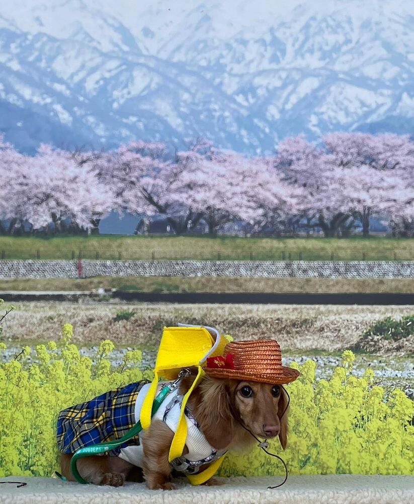 画像9910