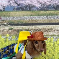 画像9911