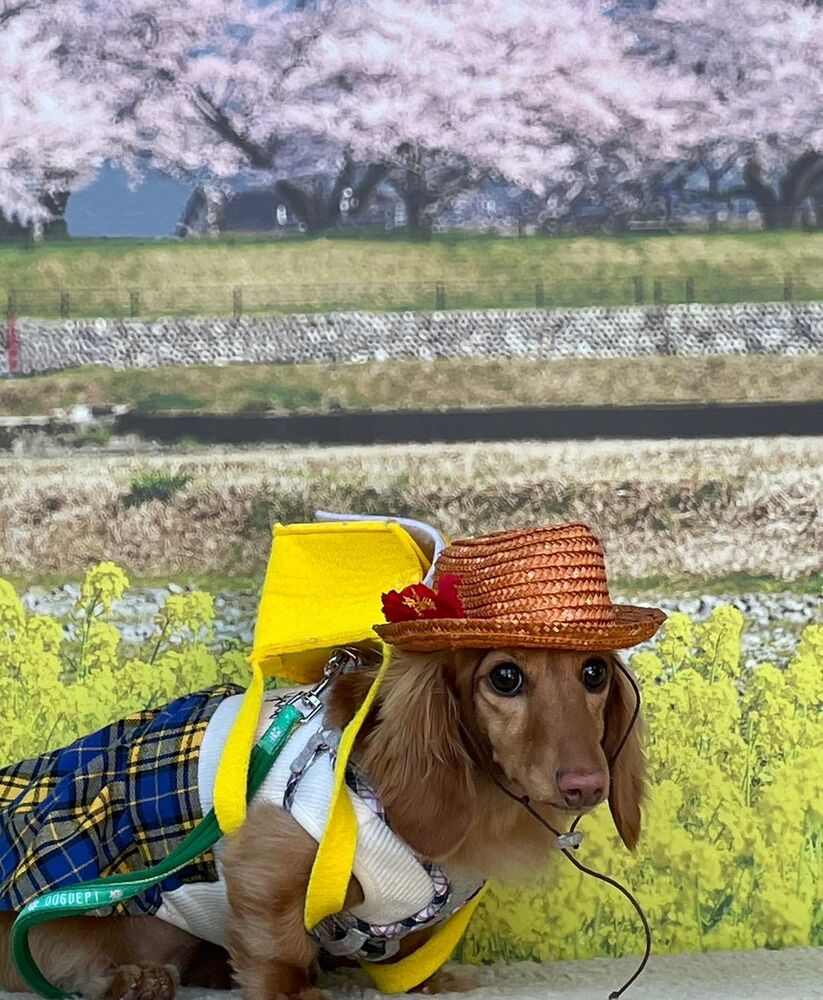 画像9911