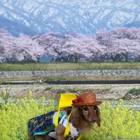 画像9912