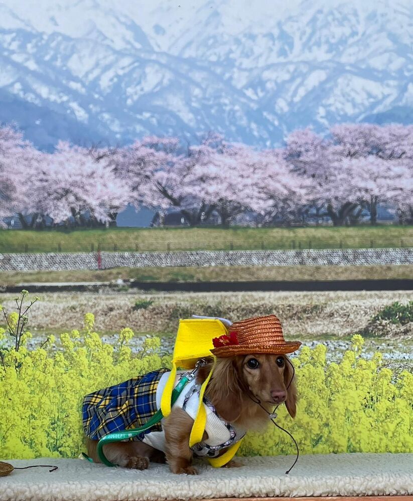 画像9912