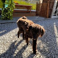 画像9930