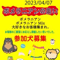 画像9965