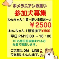 画像9966